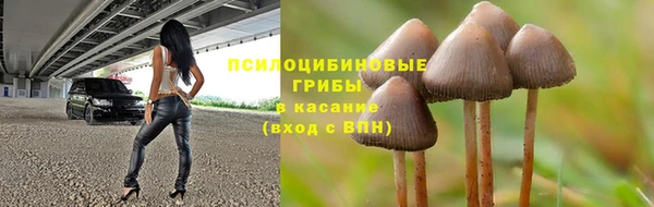 спиды Абаза