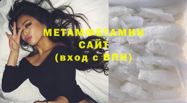 индика Няндома
