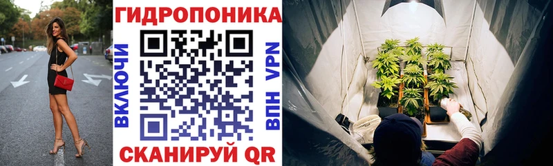 Бошки марихуана VHQ  хочу наркоту  shop какой сайт  Тольятти 